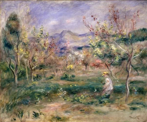 Orchard in Spring